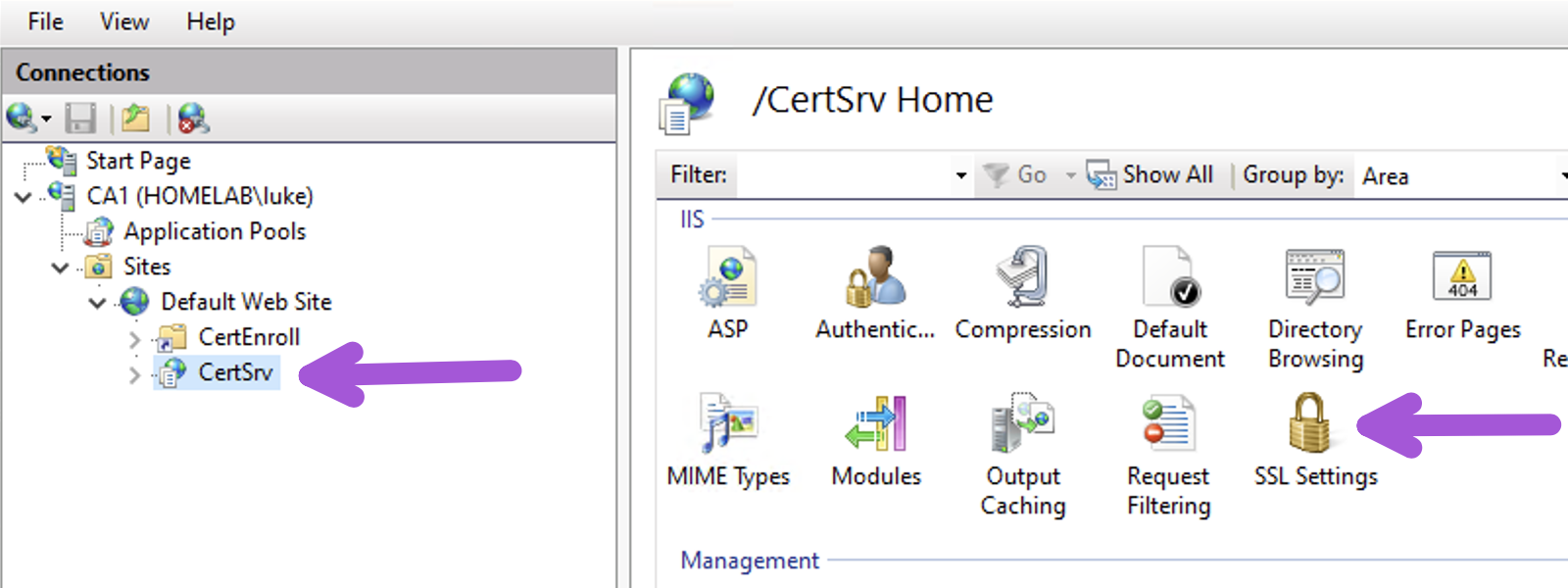 Technical Screenshot