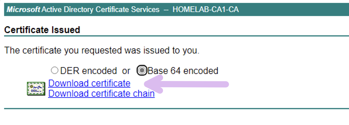 Technical Screenshot