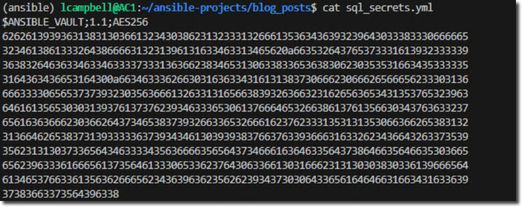Technical Screenshot