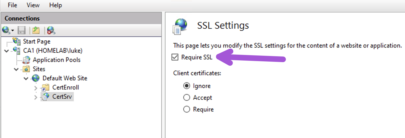 Technical Screenshot